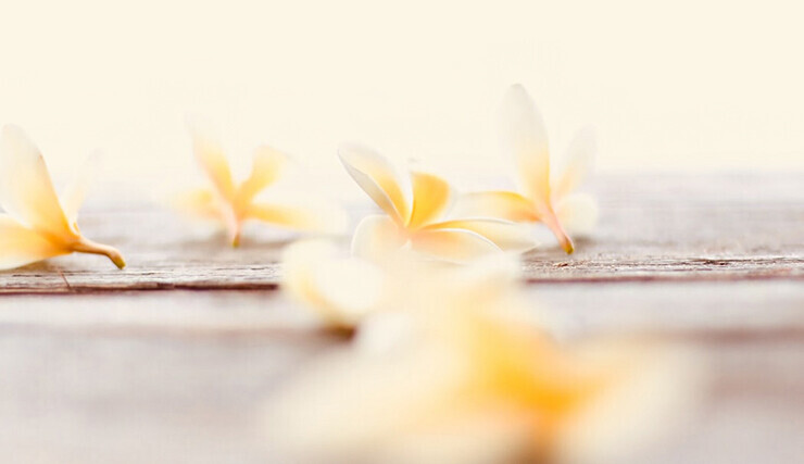 slow beauty