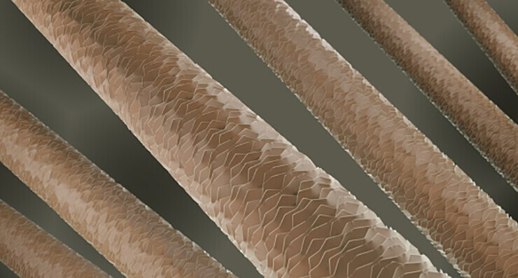 hair porosity