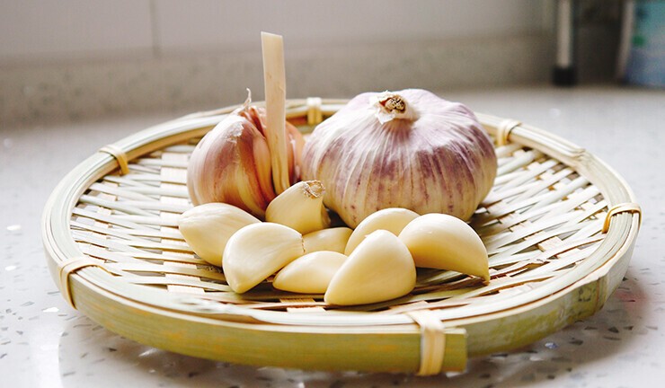 Garlic