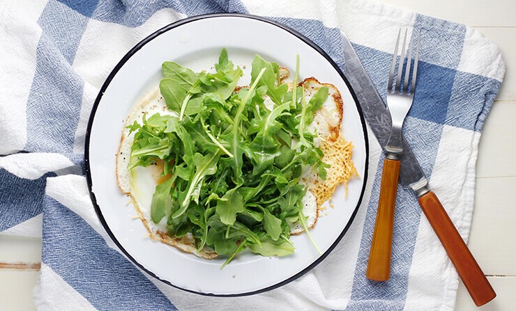 Fast Mimicking Diet