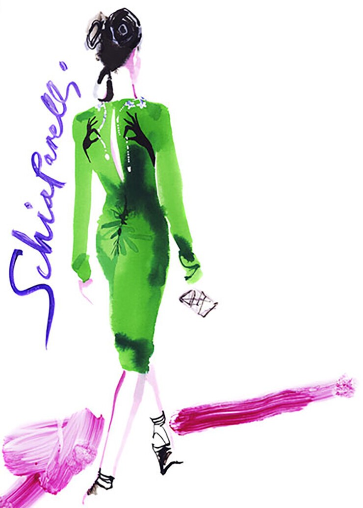 David Downton illustration