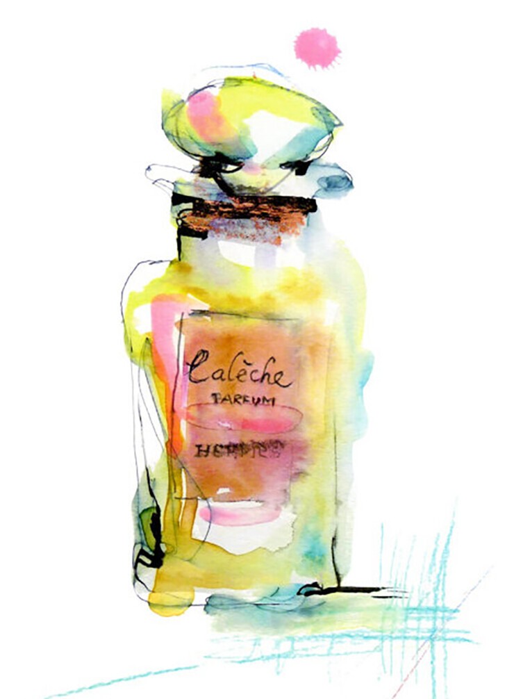 Marta Spendowska illustrations