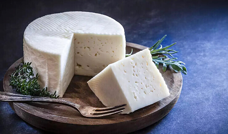 lactose friendly cheese