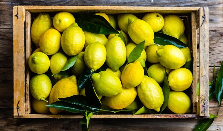 Warm Water with Lemon