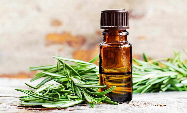 Rosemary Oil