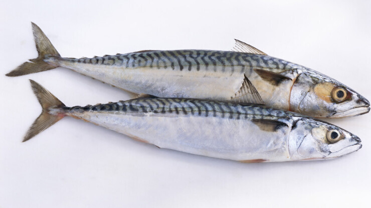 sardine beauty superfood 
