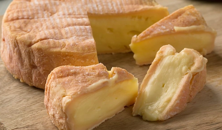 Moldy Cheeses