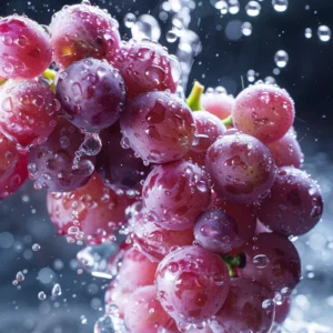 touriga nacional wine