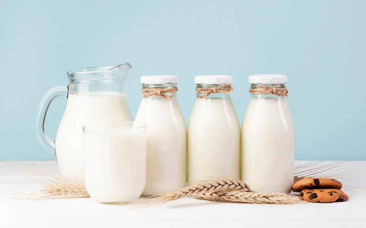fat content in milk
