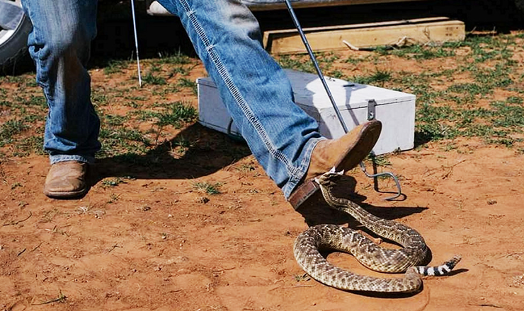 Snake-Proof Boots