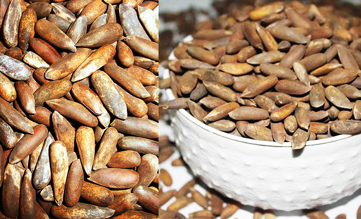 Afghan nut