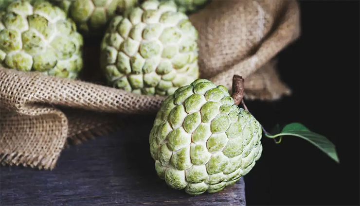 Cherimoya