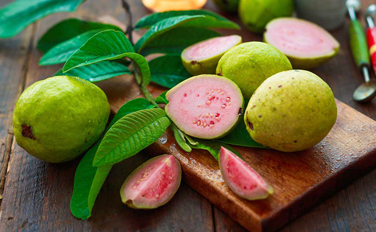guava what is
