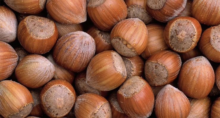 Hazelnut