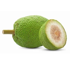 Breadfruit