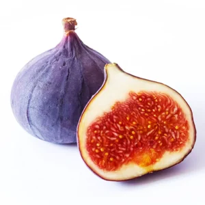 fig fruit