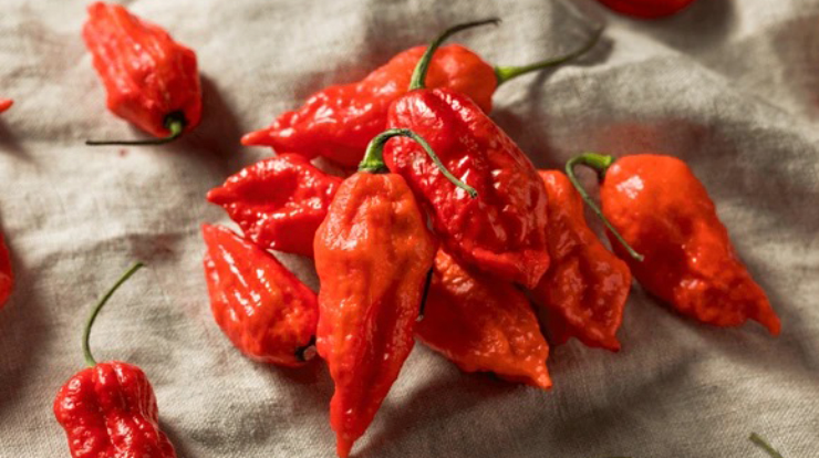 Ghost Pepper is